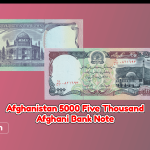Afghanistan 5000 Afghanis 1372 (1993)